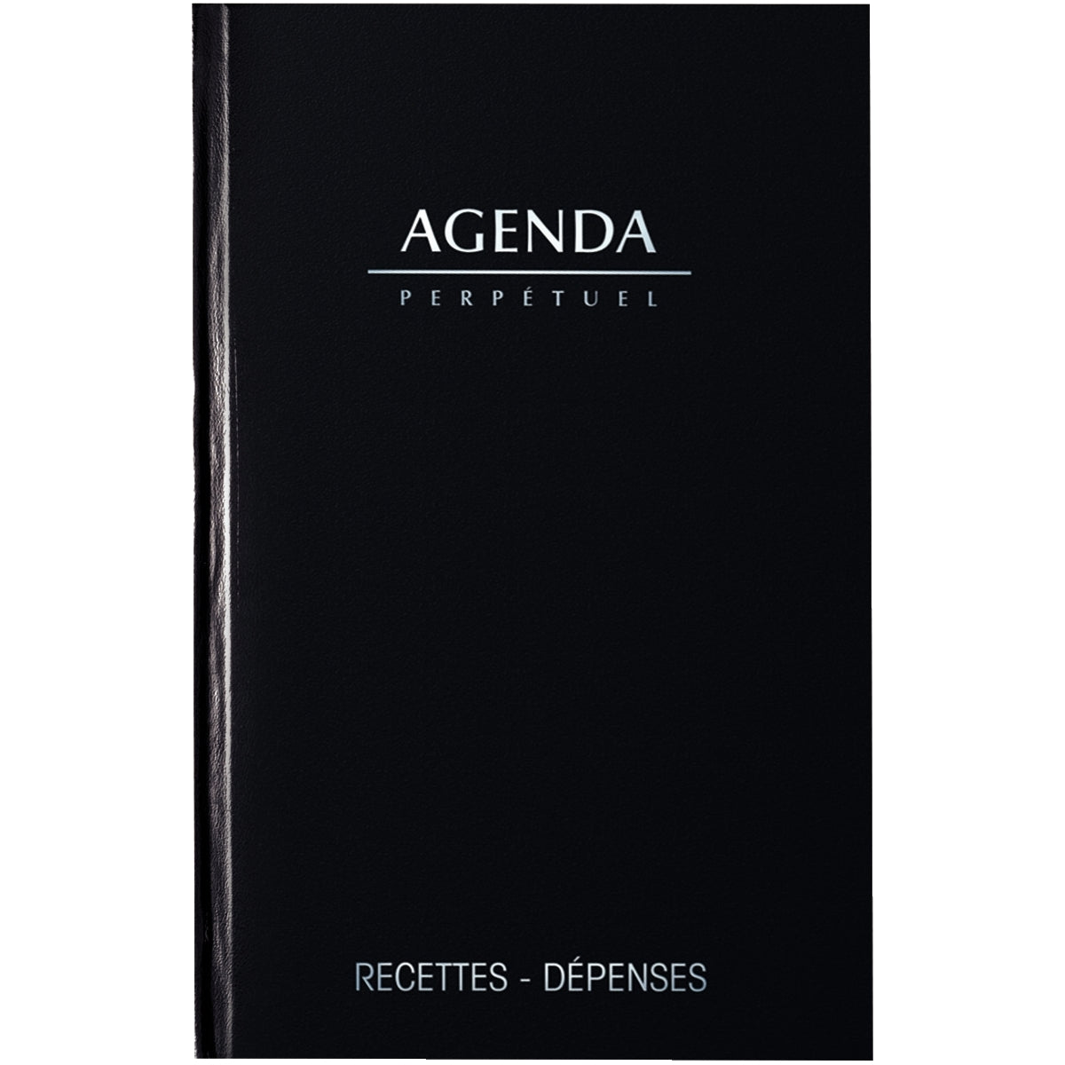 Agenda perpétuel recettes/depenses 1 jour par page-noir