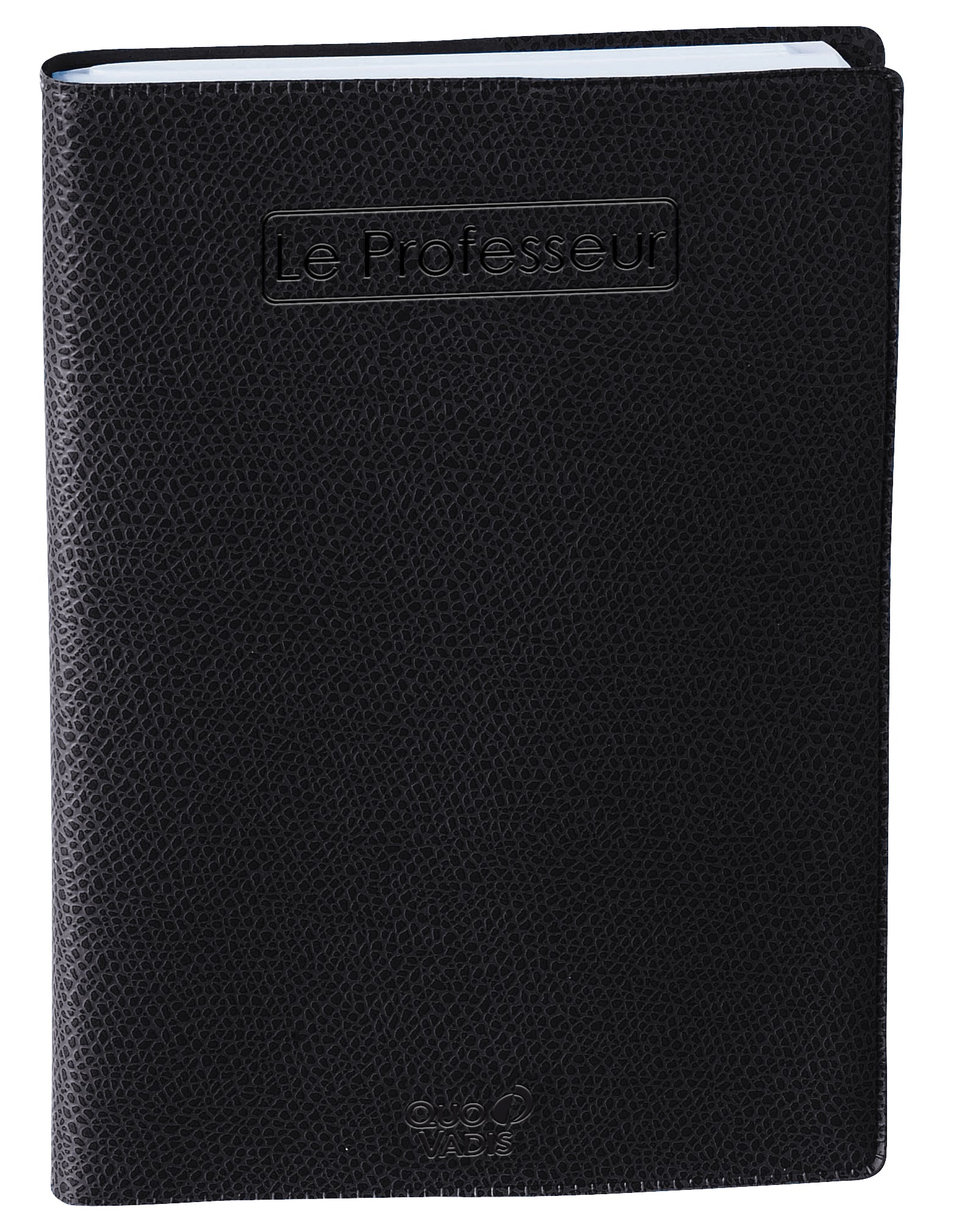 Agenda professeur 21x27 cm quo vadis