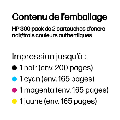 Pack de cartouches d'encre 300 - Noir et Couleur
