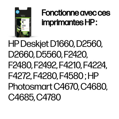 Pack de cartouches d'encre 300 - Noir et Couleur