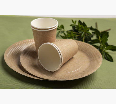 Assiette carton 23cm p/20 kraft