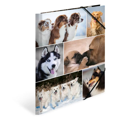 Chemise 3 rabats a4 carton - design chiens