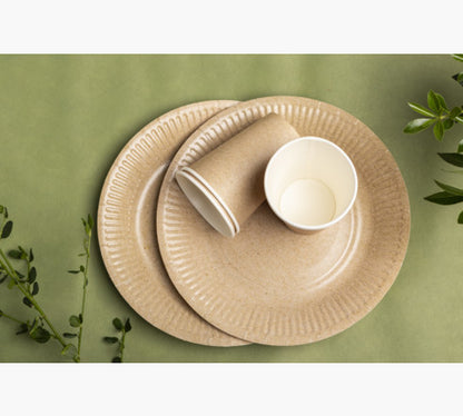 Assiette carton 23cm p/20 kraft